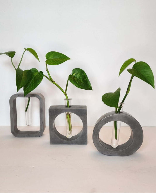 Effortless Plant Propagation: A Smart System for Growing More from Less.