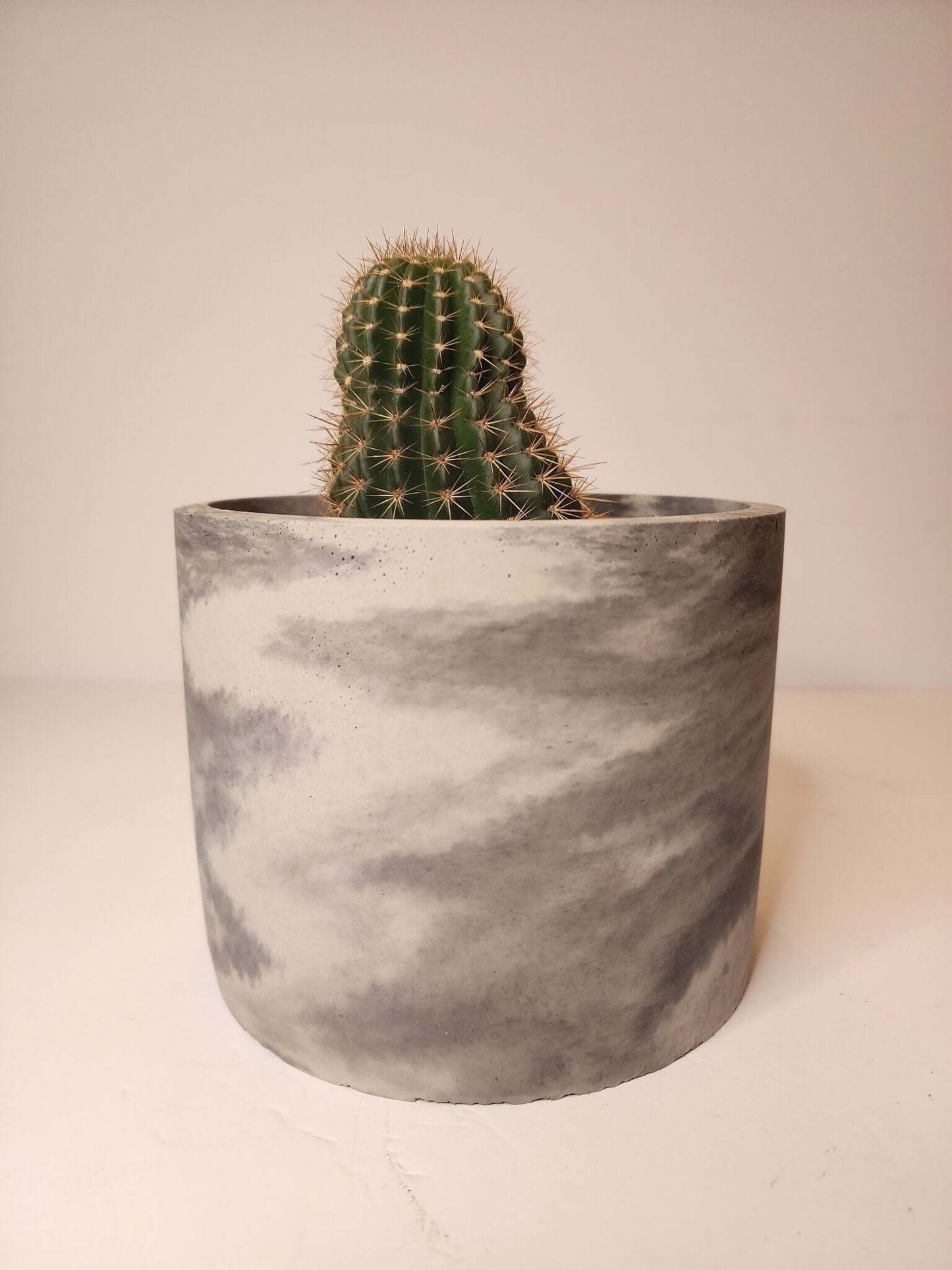 Circle Concrete Planter - Large Pot - Modern Décor - Planter
