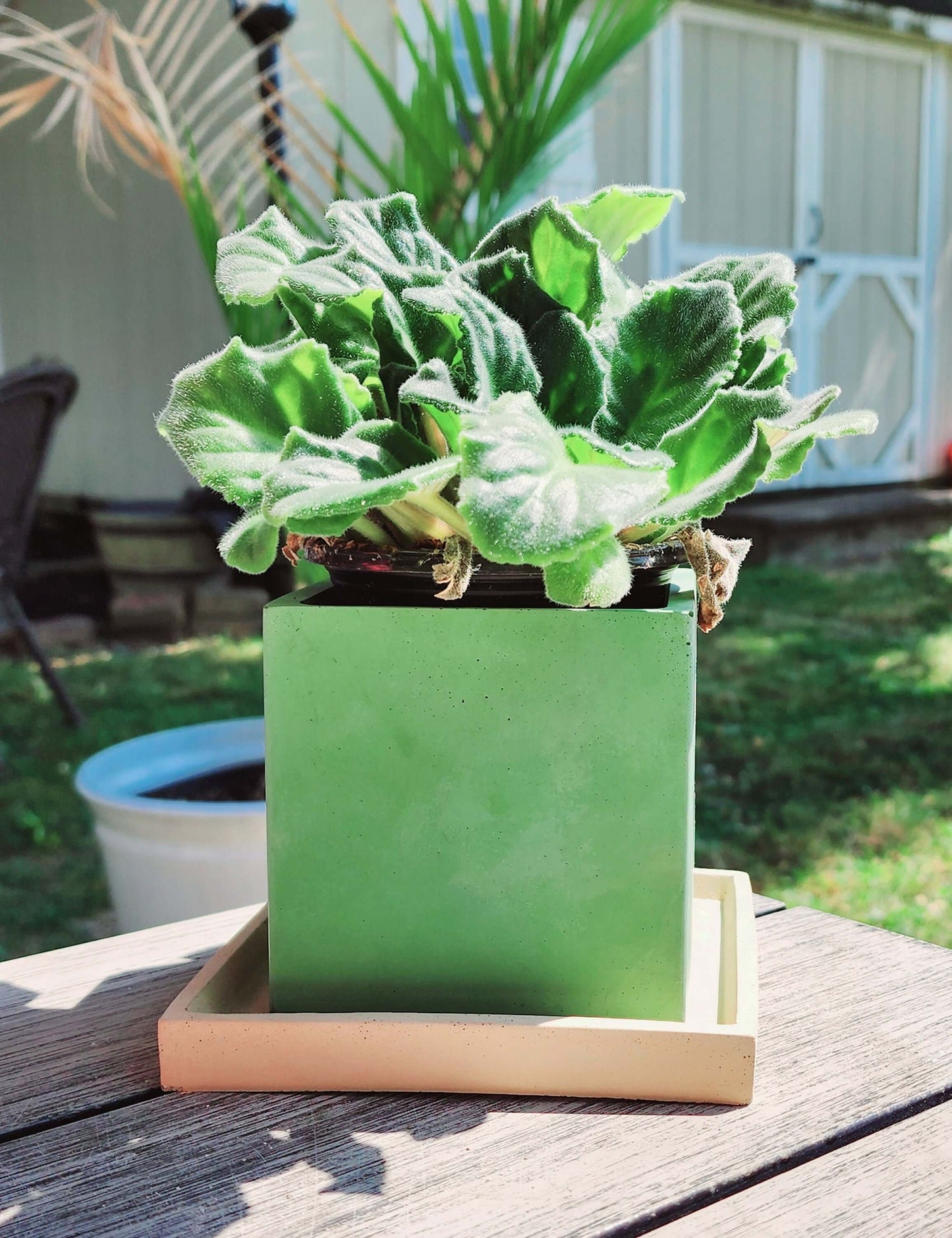 Square Cube Concrete Planter - Succulent Pot - Pot - Modern Decor - Gift - Wedding/Shower Favor - Concrete Product - Candle Vessel