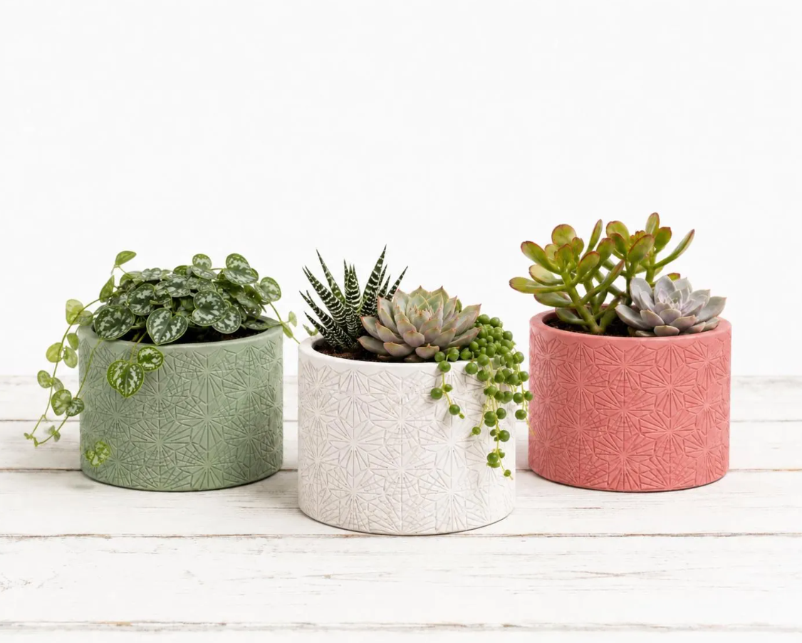 Vintage Concrete Succulent Planter Pot