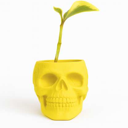 Skull Concrete Planter for Succulents