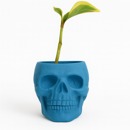 Skull Concrete Planter for Succulents