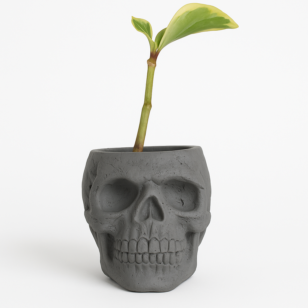 Skull Concrete Planter for Succulents