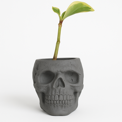 Skull Concrete Planter for Succulents