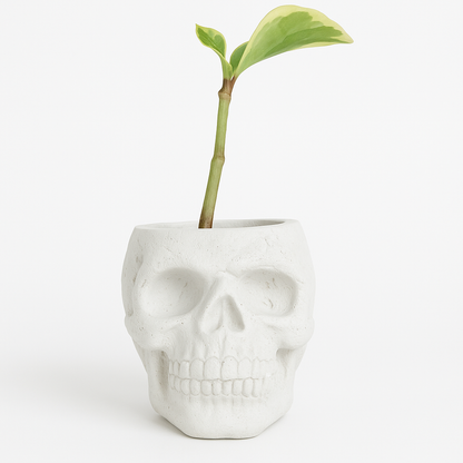 Skull Concrete Planter for Succulents