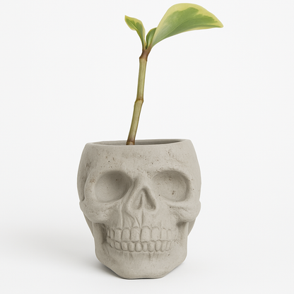 Skull Concrete Planter for Succulents
