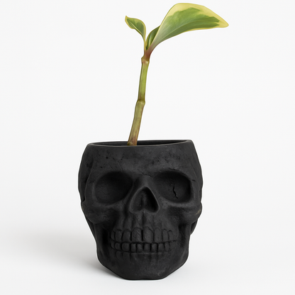 Skull Concrete Planter for Succulents