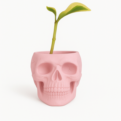 Skull Concrete Planter for Succulents