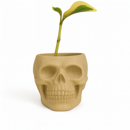 Skull Concrete Planter for Succulents