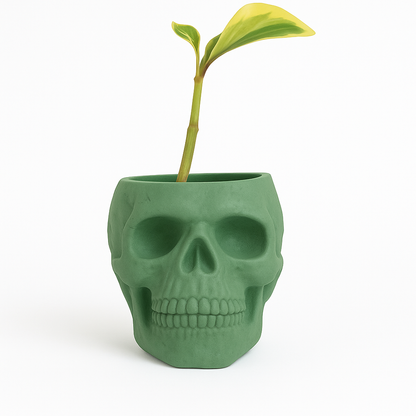Skull Concrete Planter for Succulents