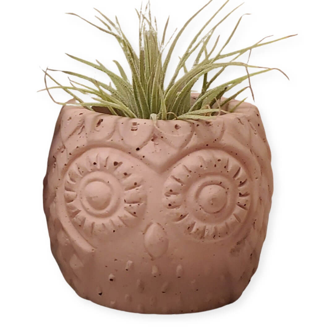 Small Owl Concrete Planter - Succulent Pot - Modern Decor - Gift - Wedding/Shower Favor - Concrete Product