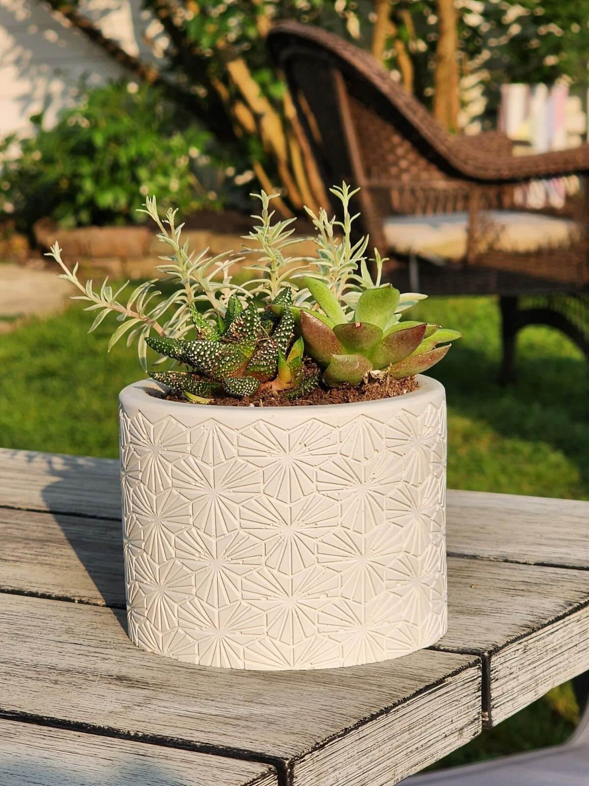cement succulent pot Vintage Concrete Succulent Planter Pot – WesternStoneStudios
