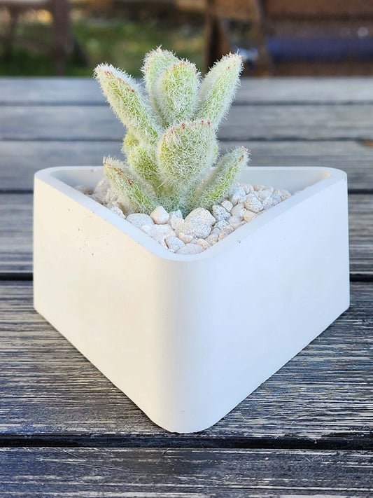 Triangle Concrete Planter - Succulent Pot - Small Pot - Modern Decor - Gift - Wedding/Shower Favor - Concrete Product - Candle Vessel