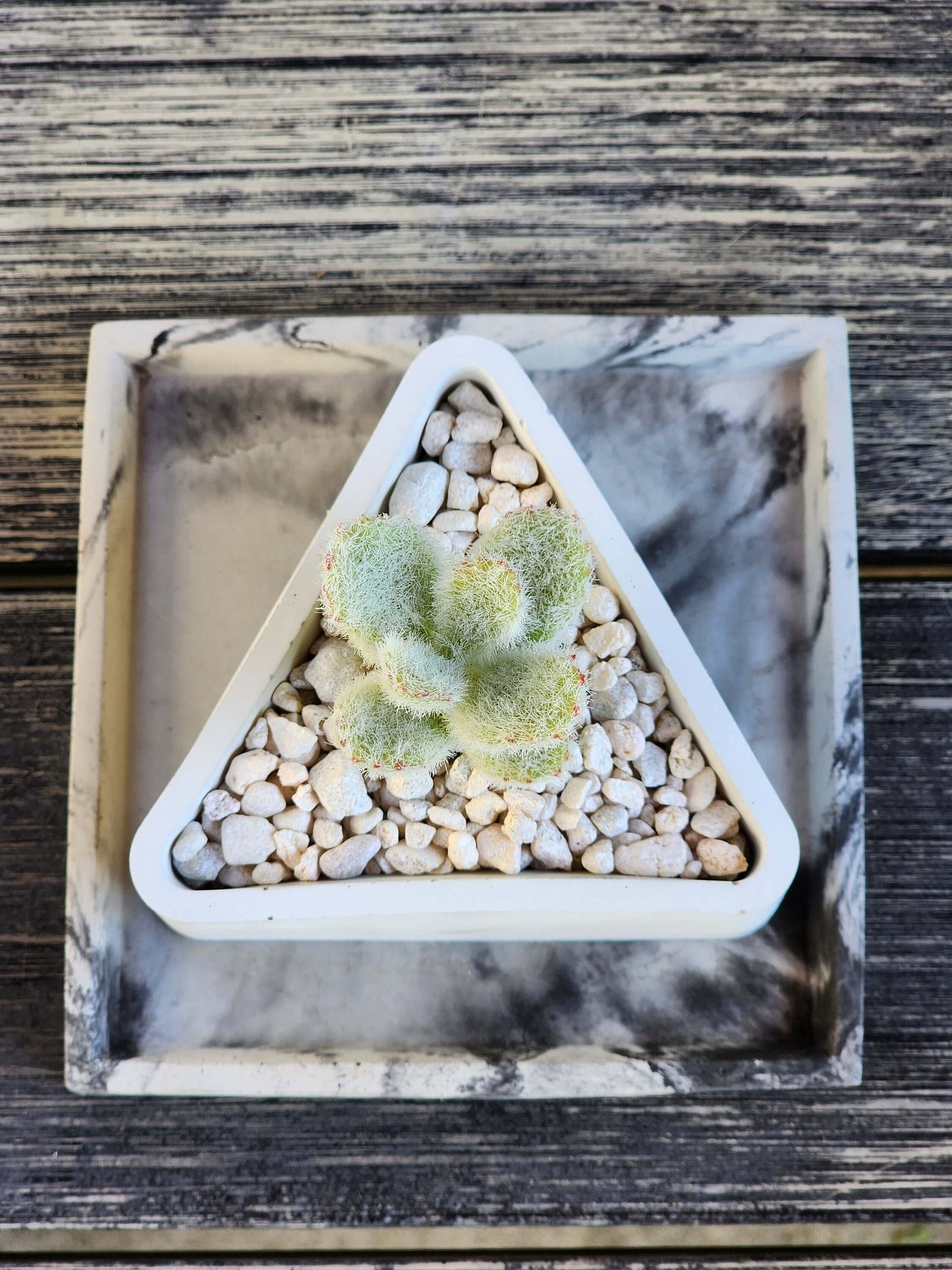Triangle Concrete Planter - Succulent Pot - Small Pot - Modern Decor - Gift - Wedding/Shower Favor - Concrete Product - Candle Vessel