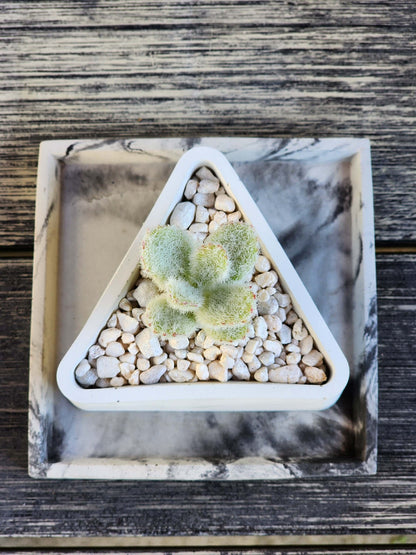 Triangle Concrete Planter - Succulent Pot - Small Pot - Modern Decor - Gift - Wedding/Shower Favor - Concrete Product - Candle Vessel