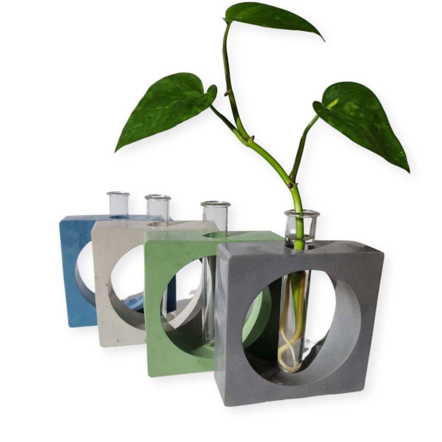 Propagation System - Concrete Propagation System - Circle Rectangle Square - Plants - Growing Station - Modern Decor - Home Products