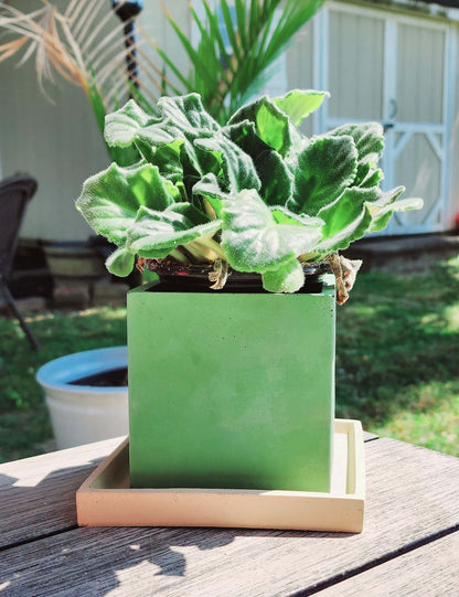 Square Cube Concrete Planter - Succulent Pot -  Pot - Modern Decor - Gift - Wedding/Shower Favor - Concrete Product - Candle Vessel