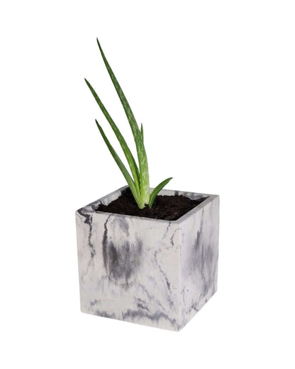 Square Cube Concrete Planter - Succulent Pot -  Pot - Modern Decor - Gift - Wedding/Shower Favor - Concrete Product - Candle Vessel