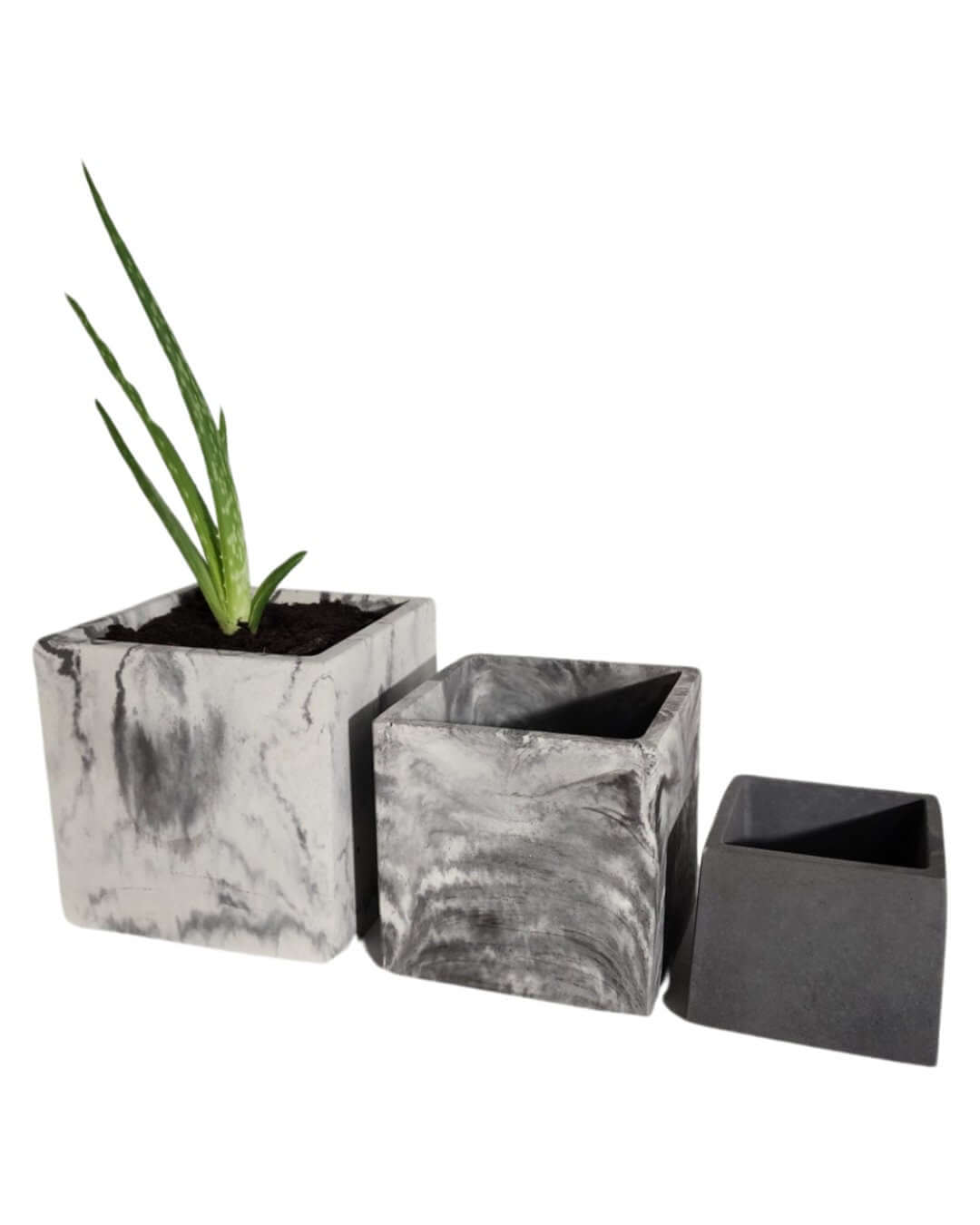 square succulent pots Square Concrete Succulent Planter – WesternStoneStudios