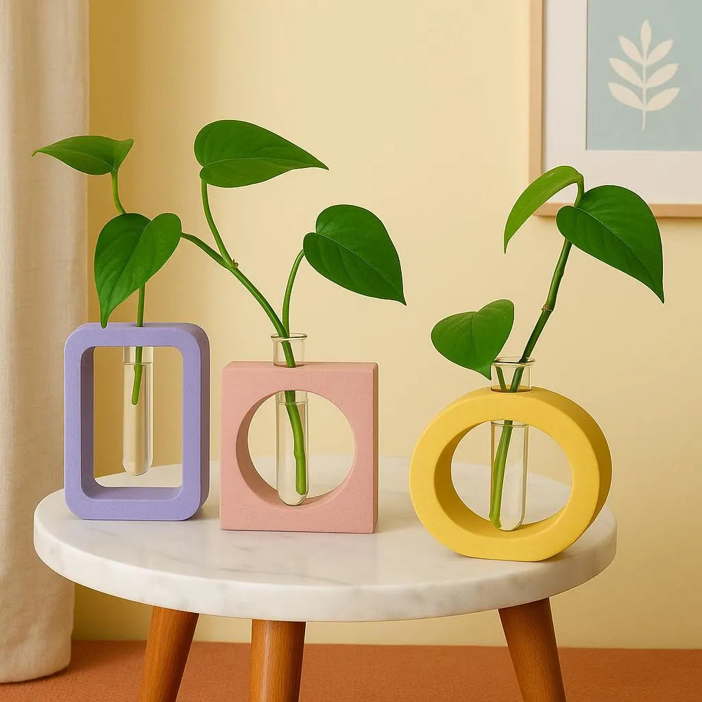 Propagation System - Concrete Propagation System - Circle Rectangle Square - Plants - Growing Station - Modern Decor - Home Products