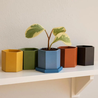 Hexagon Concrete Planter - Succulent Pot - Medium Pot - Modern Decor - Gift - Wedding/Shower Favor - Concrete Product - Candle Vessel