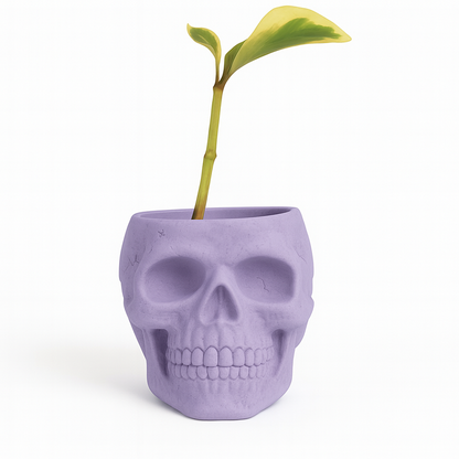 Skull Concrete Planter for Succulents