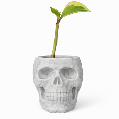 Skull Concrete Planter for Succulents