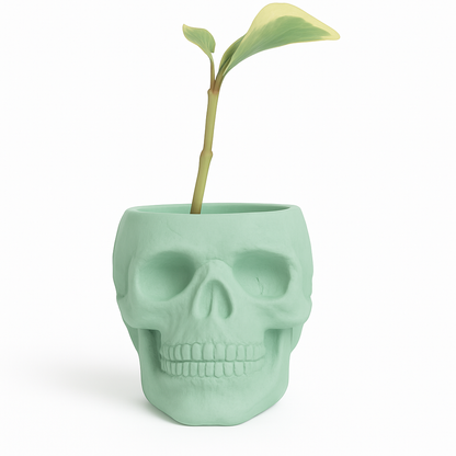 Skull Concrete Planter for Succulents