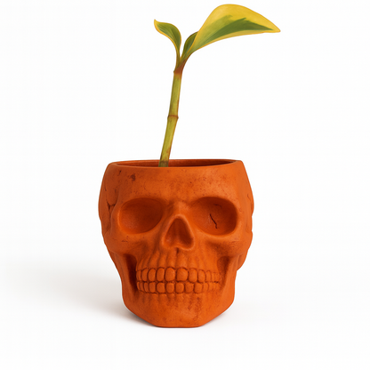 Skull Concrete Planter for Succulents
