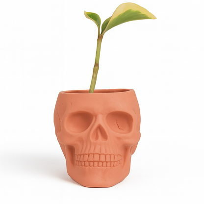 Skull Concrete Planter for Succulents