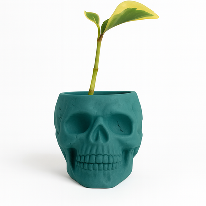 Skull Concrete Planter for Succulents